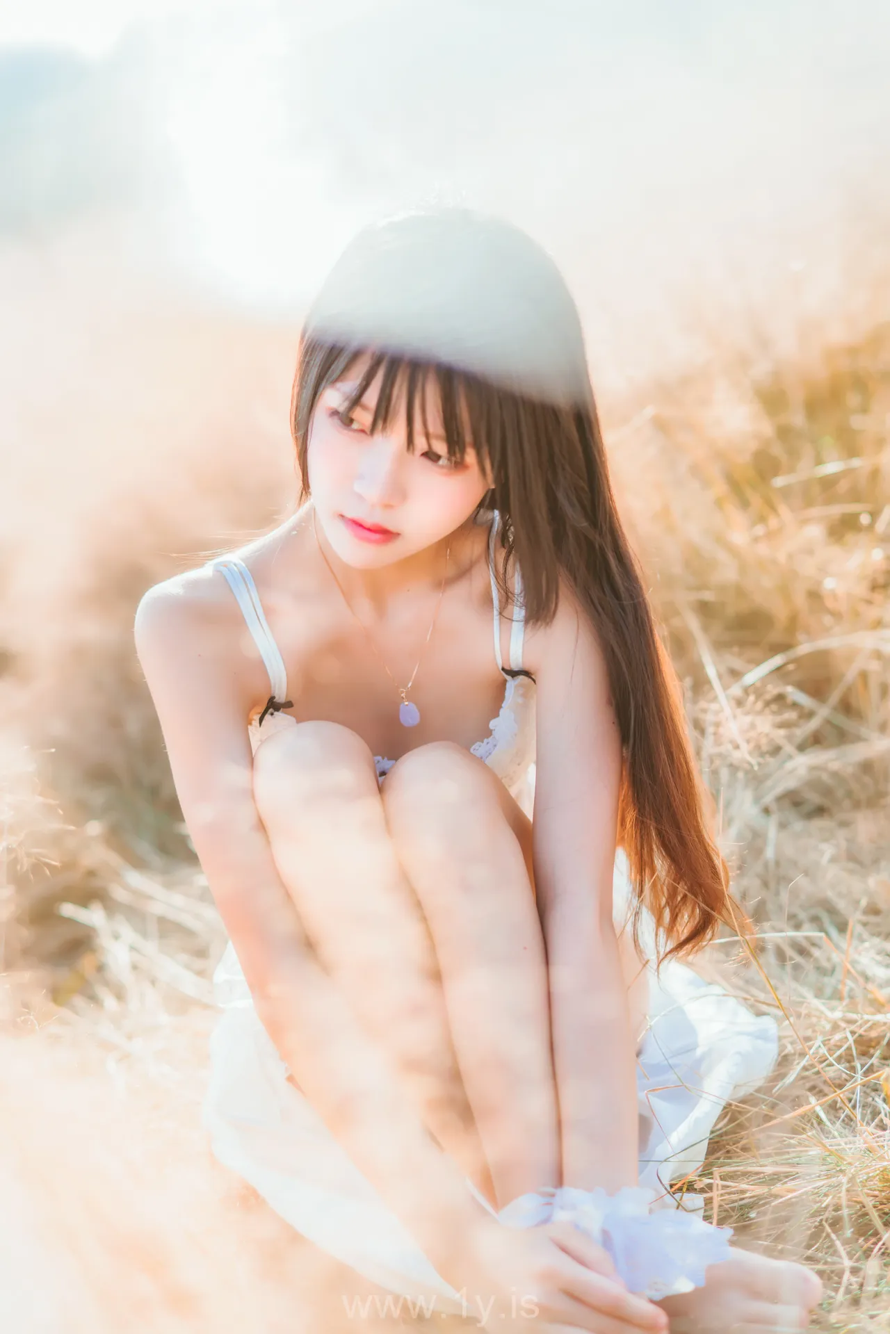 桜桃喵 NO.28 原野上的浪漫